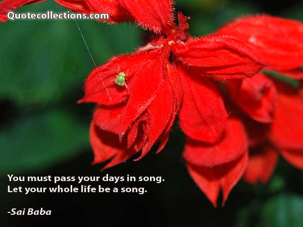 Sai Baba Quotes1